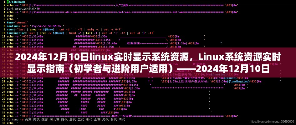 Linux系统资源实时显示指南，从初学者到进阶用户的实用指南（2024年12月10日版）