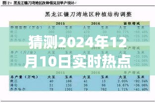 缅北见证奇迹，预测与见证2024年12月10日的热点时刻