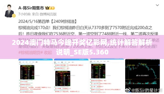 2024澳门特马今晚开奖亿彩网,统计解答解析说明_SE版5.360