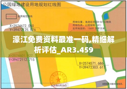 濠江免费资料最准一码,精细解析评估_AR3.459