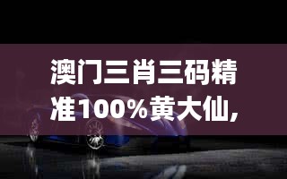 澳门三肖三码精准100%黄大仙,多元方案执行策略_Hybrid2.813