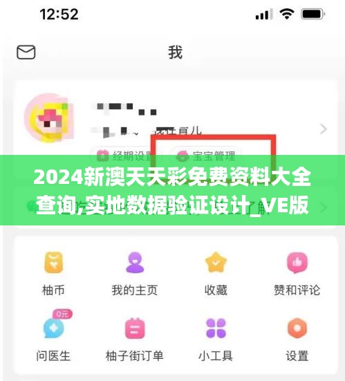 2024新澳天天彩免费资料大全查询,实地数据验证设计_VE版2.270