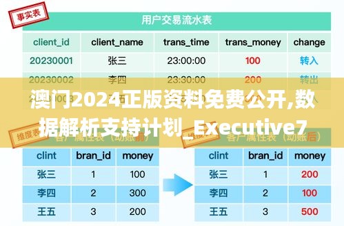 澳门2024正版资料免费公开,数据解析支持计划_Executive7.394