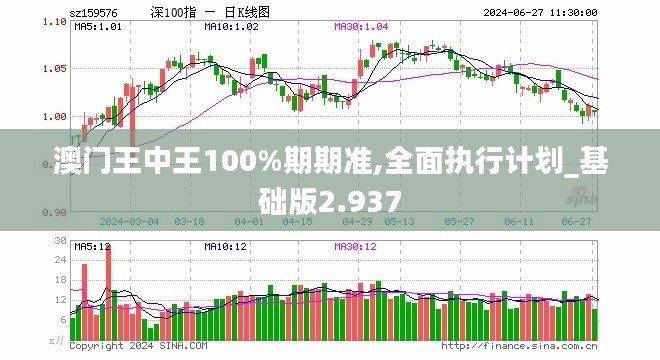 澳门王中王100%期期准,全面执行计划_基础版2.937