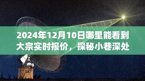 探秘宝藏小店，揭秘2024年大宗实时报价好去处，12月10日不容错过