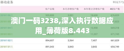 澳门一码3238,深入执行数据应用_薄荷版8.443