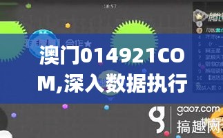 澳门014921COM,深入数据执行方案_手游版2.582