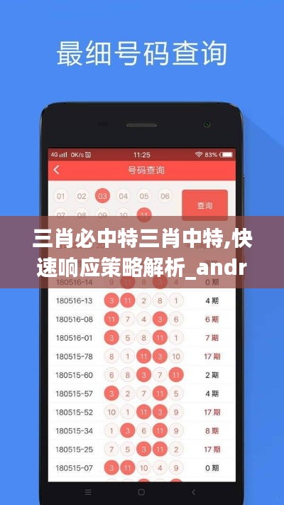 三肖必中特三肖中特,快速响应策略解析_android9.218