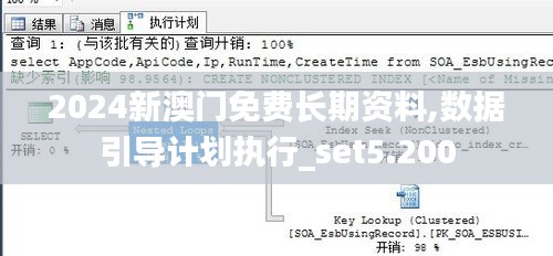 2024新澳门免费长期资料,数据引导计划执行_set5.200