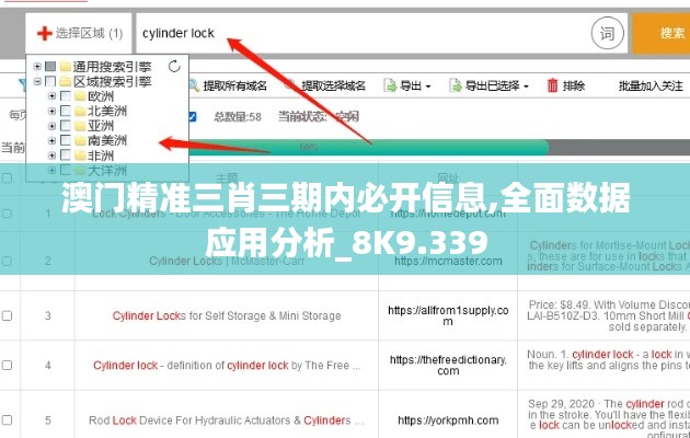 澳门精准三肖三期内必开信息,全面数据应用分析_8K9.339