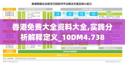 香港免费大全资料大全,实践分析解释定义_10DM4.738