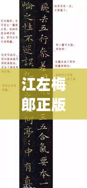 江左梅郎正版资料免费大全一肖,创新定义方案剖析_RX版10.762