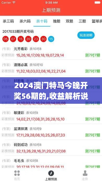 2024澳门特马今晚开奖56期的,收益解析说明_网页版16.865