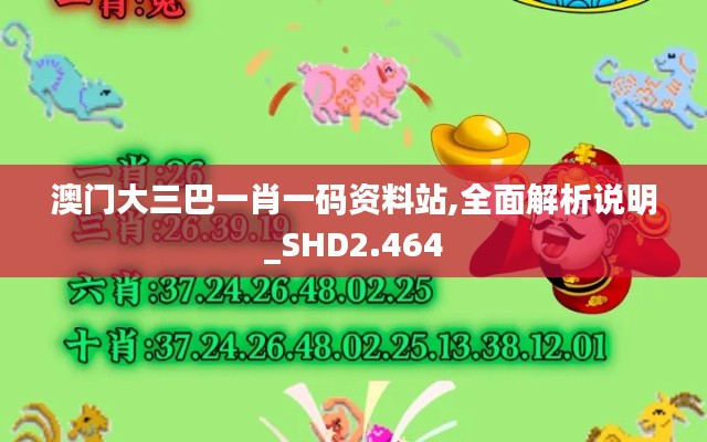 澳门大三巴一肖一码资料站,全面解析说明_SHD2.464