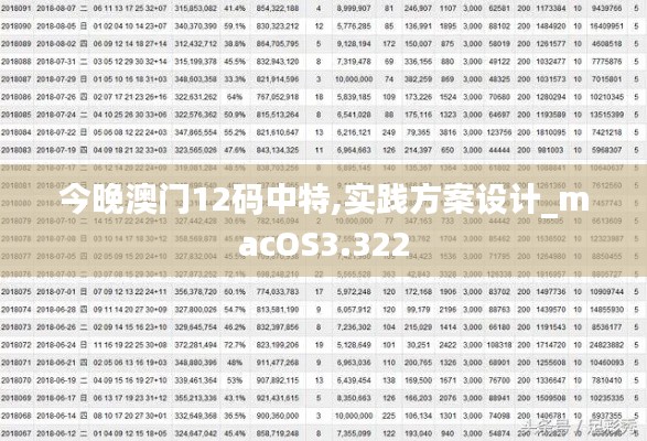 今晚澳门12码中特,实践方案设计_macOS3.322