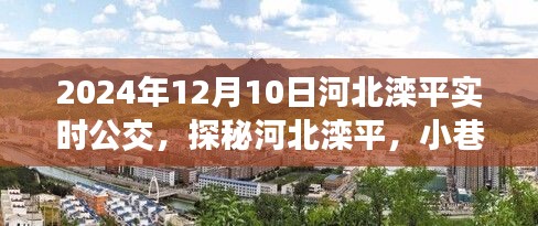 河北滦平公交美食秘境探秘，实时公交与隐藏美食之旅（2024年12月10日）