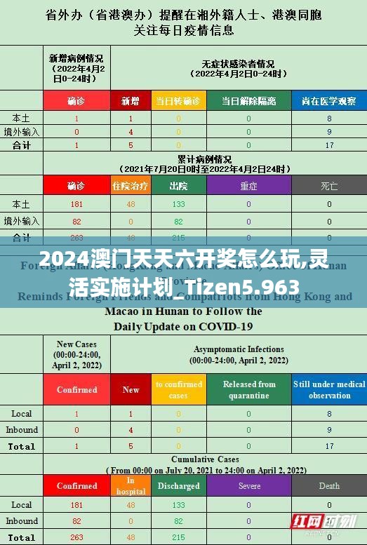 2024澳门天天六开奖怎么玩,灵活实施计划_Tizen5.963