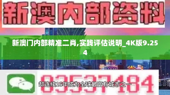 新澳门内部精准二肖,实践评估说明_4K版9.254