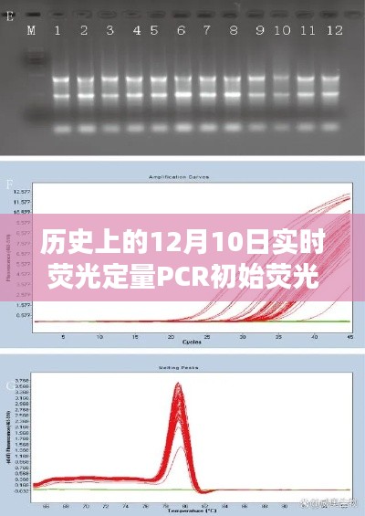 历史上的12月10日，实时荧光定量PCR初始荧光值技术深度解析与评测