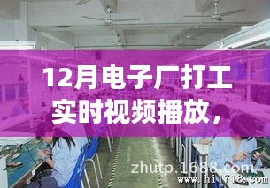 揭秘十二月电子厂一线工作实况，实时打工视频播放与直播探访