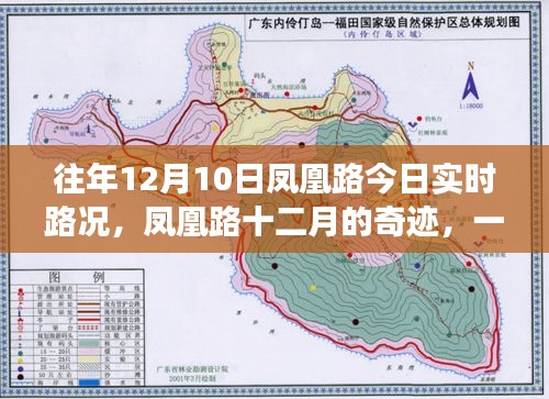 凤凰路十二月的奇迹，寻找内心平静的旅程实时路况播报