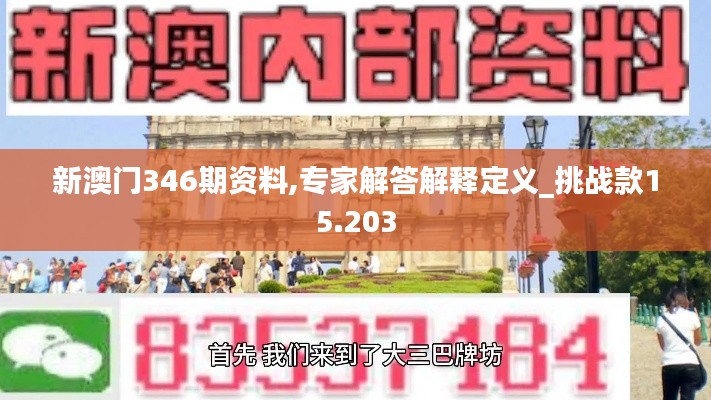 新澳门346期资料,专家解答解释定义_挑战款15.203