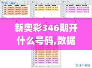 新奥彩346期开什么号码,数据整合策略分析_AR7.343