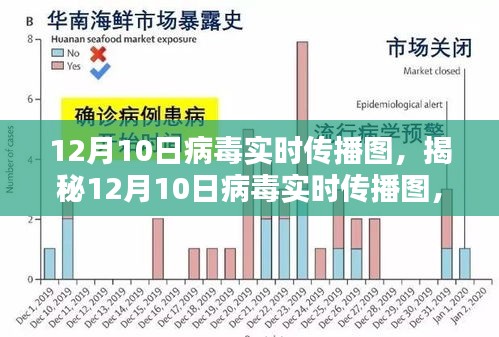 揭秘病毒实时传播图，全面指南助你洞悉病毒动态（12月10日版）