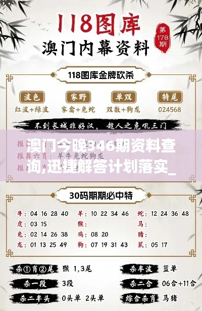 澳门今晚346期资料查询,迅捷解答计划落实_尊贵款7.221