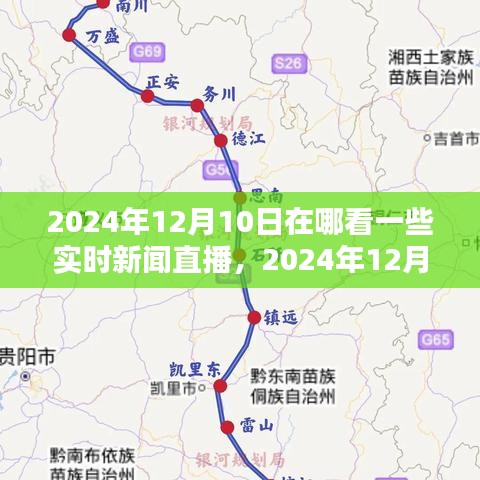 如何观看2024年12月10日实时新闻直播，途径解析与体验分享