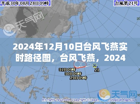 台风飞燕深度测评与实时路径图介绍，2024年12月10日最新动态