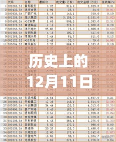 历史上的12月11日2024澳门天天开好彩大全开奖结果,实地策略验证计划_8K8.884