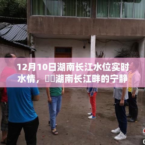 湖南长江畔的宁静之旅，实时水情与探索自然美景的双重体验（12月10日）