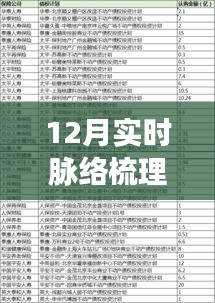 12月实时脉络梳理软件选购指南，如何挑选并高效使用？