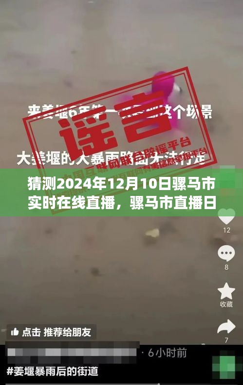 骡马市直播日，学习变化，自信与成就感的奇妙旅程预测与展望（2024年12月10日实时在线直播）