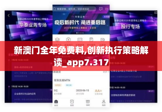 新澳门全年免费料,创新执行策略解读_app7.317