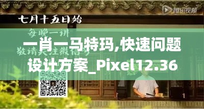 一肖一马特玛,快速问题设计方案_Pixel12.365