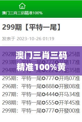 澳门三肖三码精准100%黄大仙,迅速设计执行方案_限定版9.665