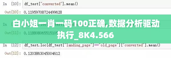 白小姐一肖一码100正确,数据分析驱动执行_8K4.566