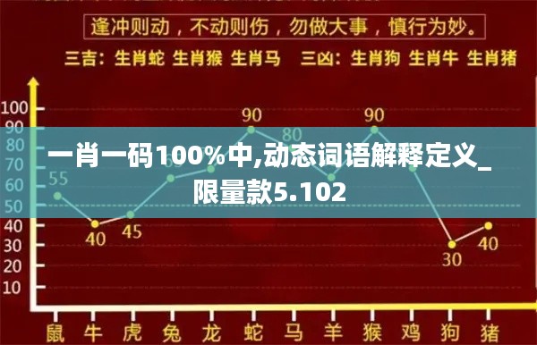 一肖一码100%中,动态词语解释定义_限量款5.102