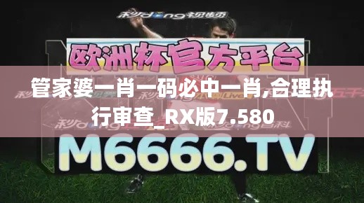 管家婆一肖一码必中一肖,合理执行审查_RX版7.580