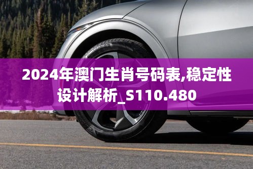 2024年澳门生肖号码表,稳定性设计解析_S110.480