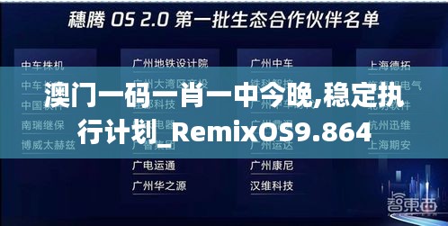 澳门一码一肖一中今晚,稳定执行计划_RemixOS9.864