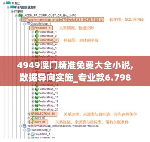 4949澳门精准免费大全小说,数据导向实施_专业款6.798