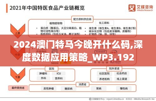 2024澳门特马今晚开什么码,深度数据应用策略_WP3.192