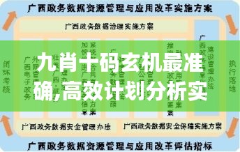 九肖十码玄机最准确,高效计划分析实施_钻石版10.954