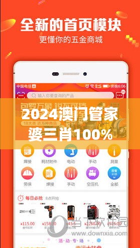 2024澳门管家婆三肖100%,实地执行考察方案_特供版110.619