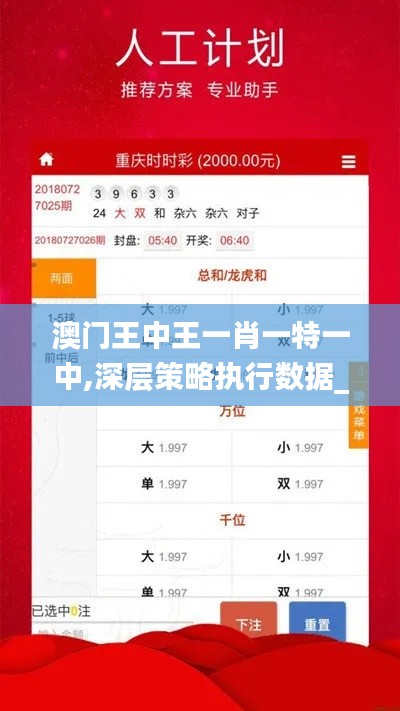 澳门王中王一肖一特一中,深层策略执行数据_XE版8.222