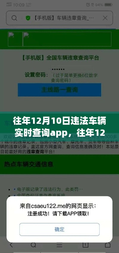 往年12月10日违法车辆实时查询APP深度解析及观点阐述，功能、应用与用户体验探讨