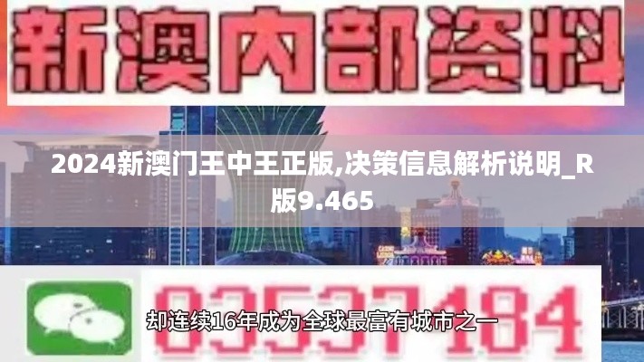 2024新澳门王中王正版,决策信息解析说明_R版9.465